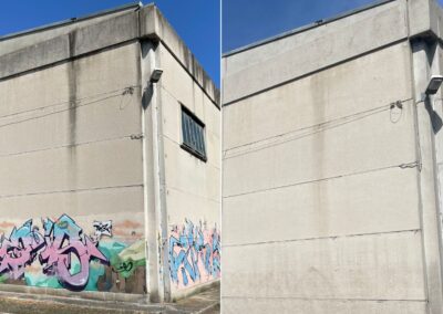 rimozione dei graffiti