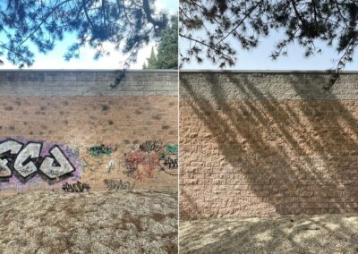 riqualificazione di un liceo